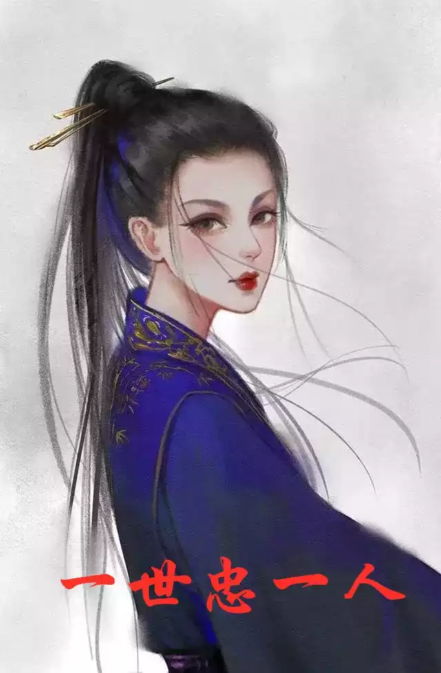 一世忠一人小说
