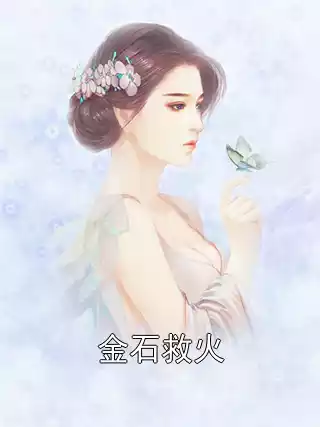 金石救火小说
