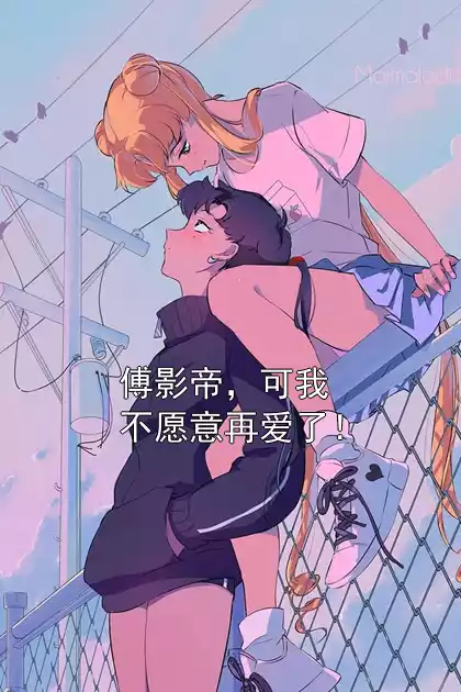 傅影帝，可我不愿意再爱了！小说