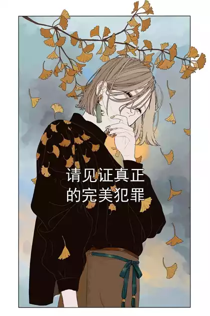 请见证真正的完美犯罪小说