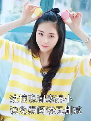 沈惊晚谢彦辞小说免费阅读无删减