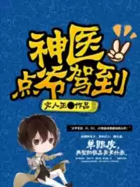 神医点爷驾到小说