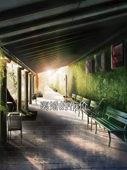 离婚的代价小说