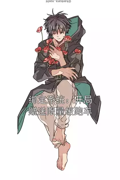 绑定系统：开局赠送限量级跑车小说
