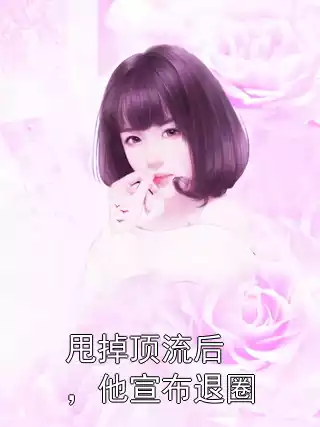 甩掉顶流后，他宣布退圈小说