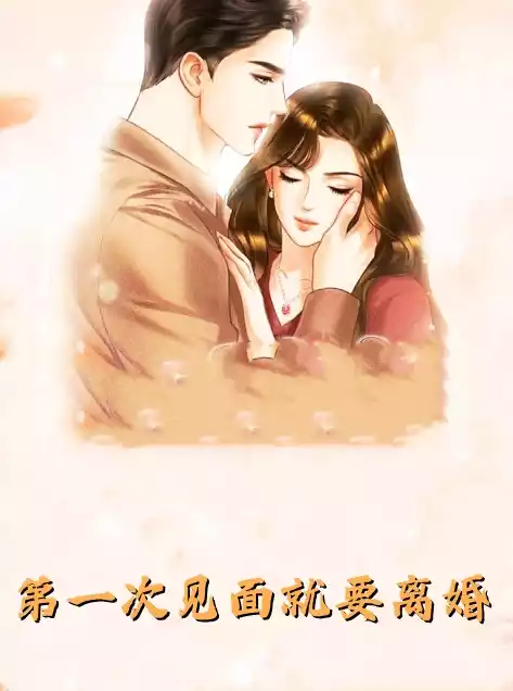 第一次见面就要离婚小说