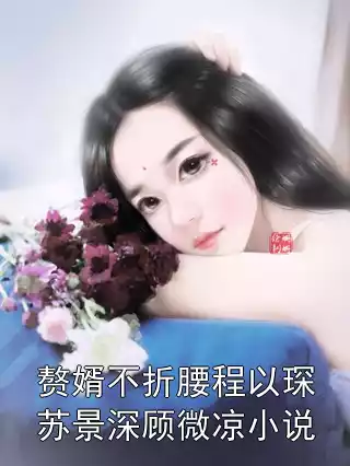 赘婿不折腰程以琛苏景深顾微凉小说小说