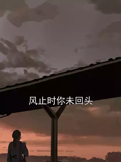 风止时你未回头