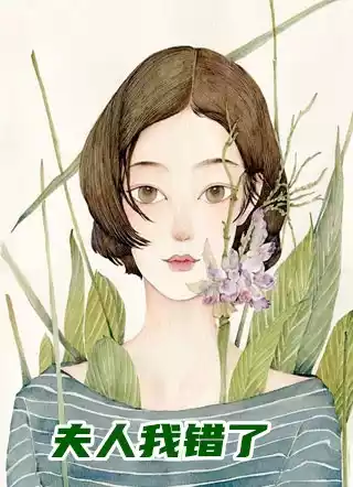 夫人我错了小说