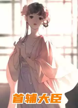 首辅大臣小说