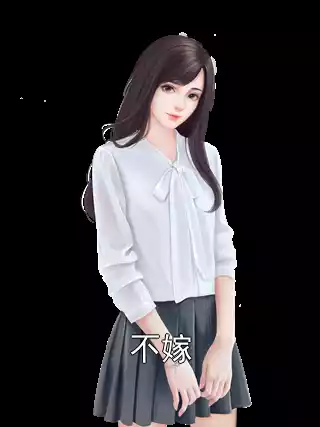 不嫁小说