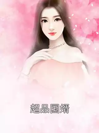 超品国婿