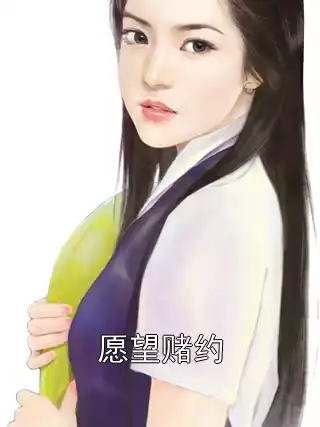 愿望赌约小说