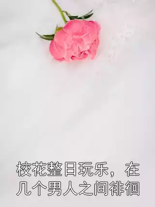 校花整日玩乐，在几个男人之间徘徊小说