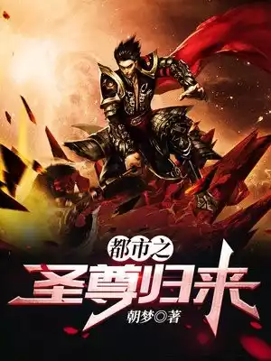 都市之圣尊归来小说