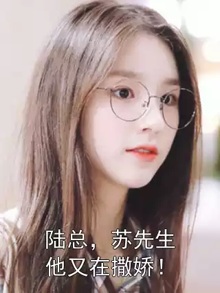 陆总，苏先生他又在撒娇！小说