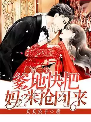 一胎三宝爹地快把妈咪抢回来小说