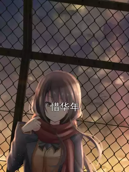 惜华年小说