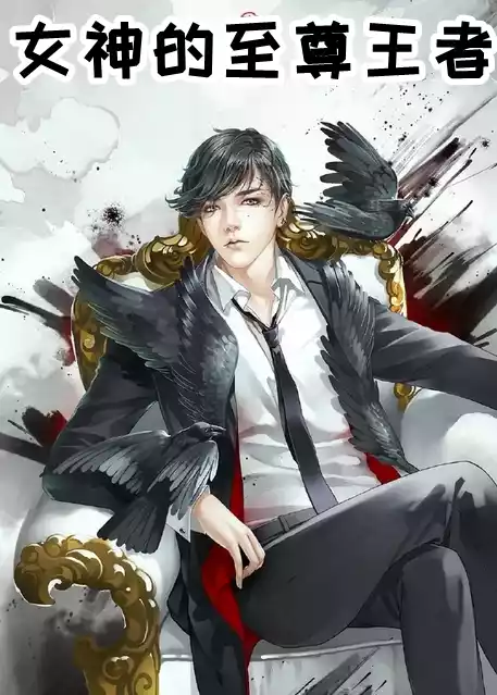 女神的至尊王者小说