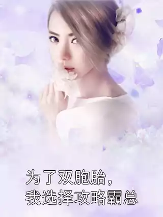为了双胞胎，我选择攻略霸总小说