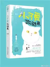 小可爱你过来小说
