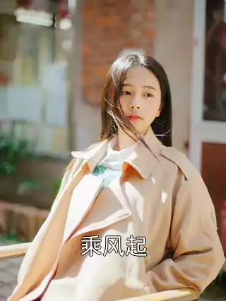 乘风起小说