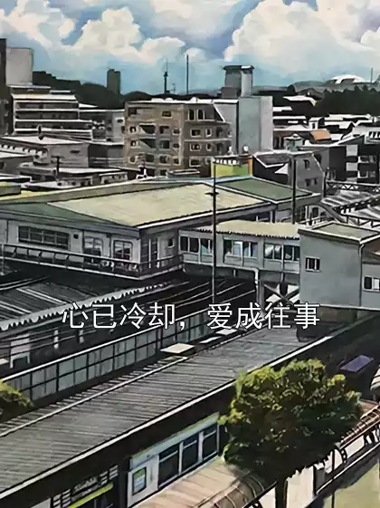 心已冷却，爱成往事小说