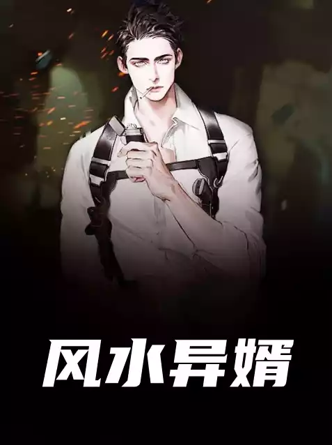 风水异婿小说