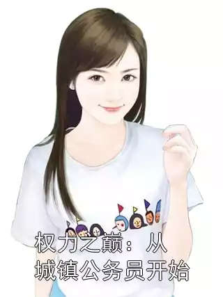 权力之巅：从城镇公务员开始小说