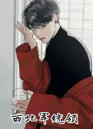 西北军统领小说