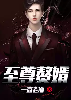 至尊赘婿小说
