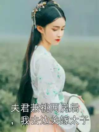 夫君兼祧两房后，我去边关嫁太子