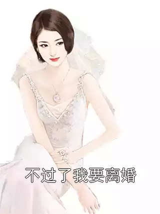 不过了我要离婚小说