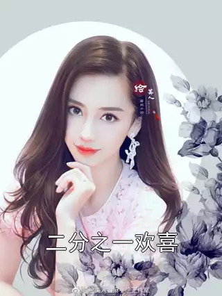 二分之一欢喜小说