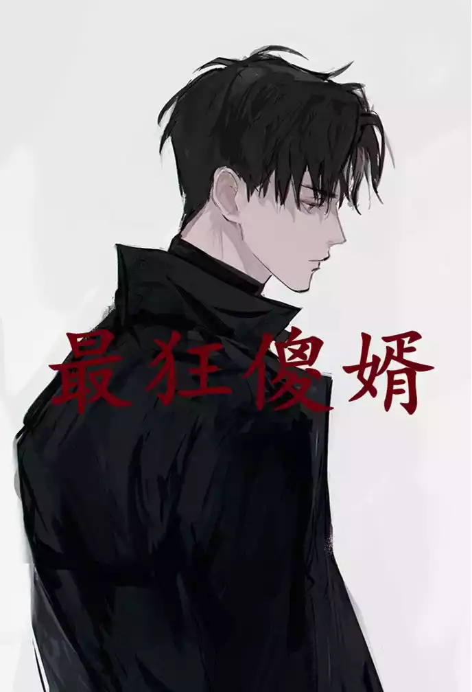 最狂傻婿小说