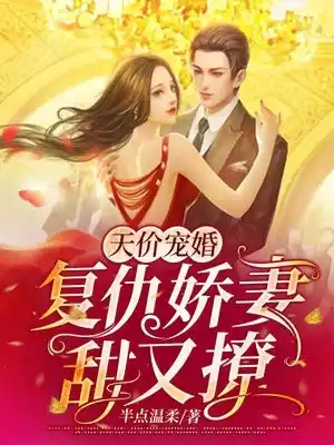 天价宠婚复仇娇妻她甜又撩小说
