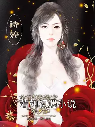 若如初遇小说