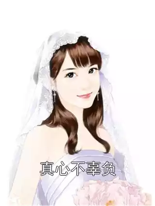 真心不辜负小说