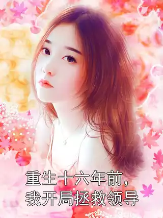 重生十六年前，我开局拯救领导小说