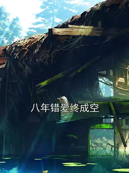 八年错爱终成空小说