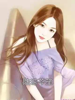 陆琮芩笙小说