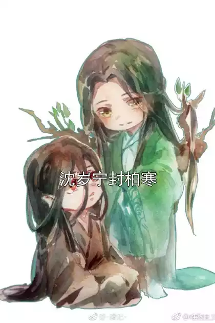 沈岁宁封柏寒小说