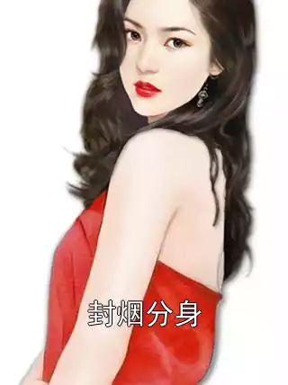 封烟分身小说