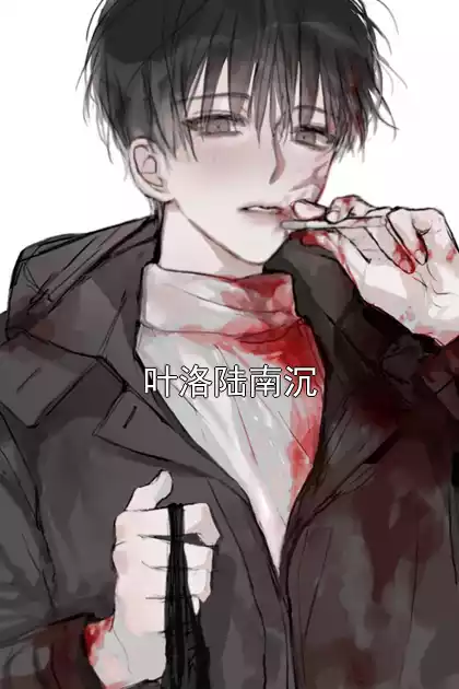 叶洛陆南沉小说