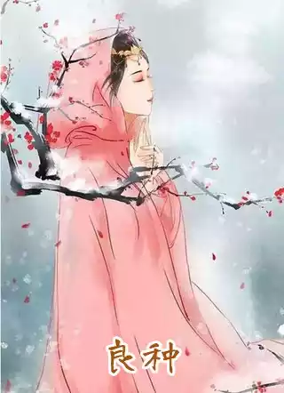 良种小说