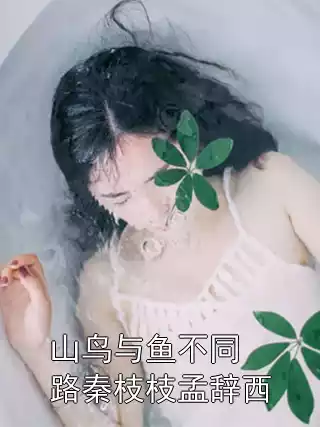 山鸟与鱼不同路秦枝枝孟辞西