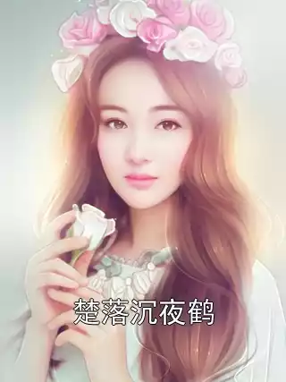 楚落沉夜鹤小说