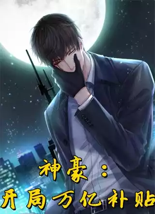 神豪开局万亿补贴小说