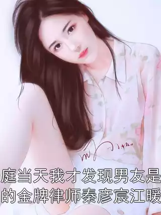 开庭当天我才发现男友是对方的金牌律师秦彦宸江暖暖