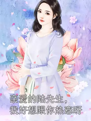 亲爱的陆先生，我好想跟你热恋呀小说